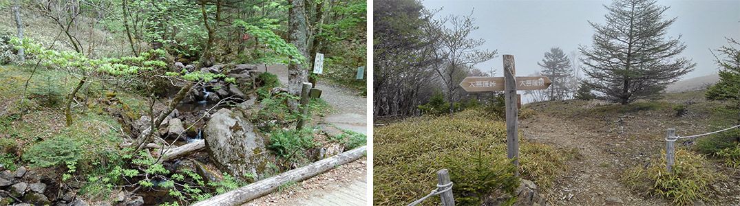 登山道のイメージ