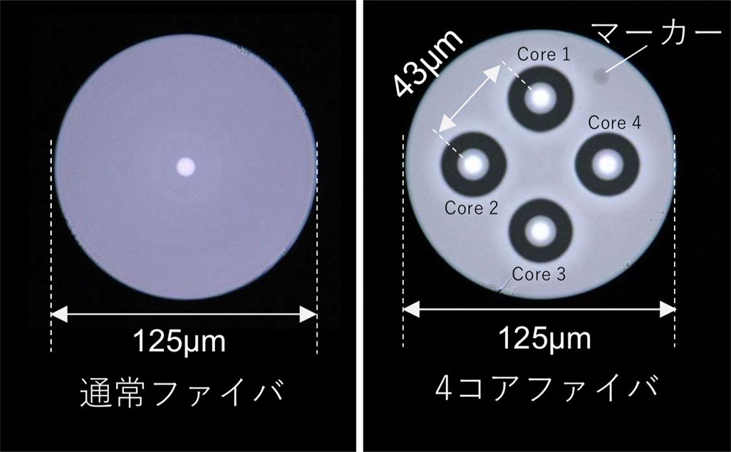 通常ファイバと4コアファイバ