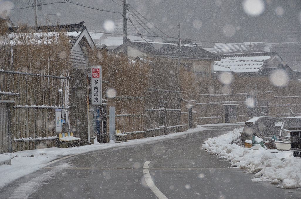 雪が降る間垣の里