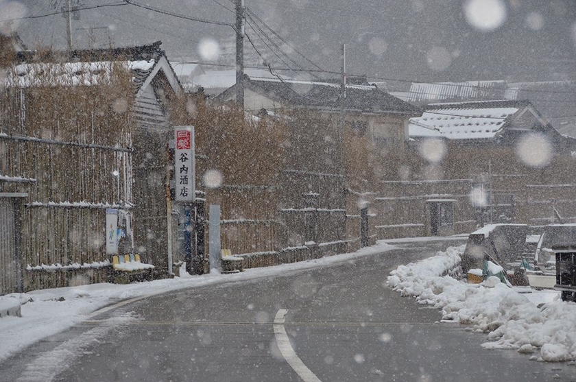 雪が降る間垣の里