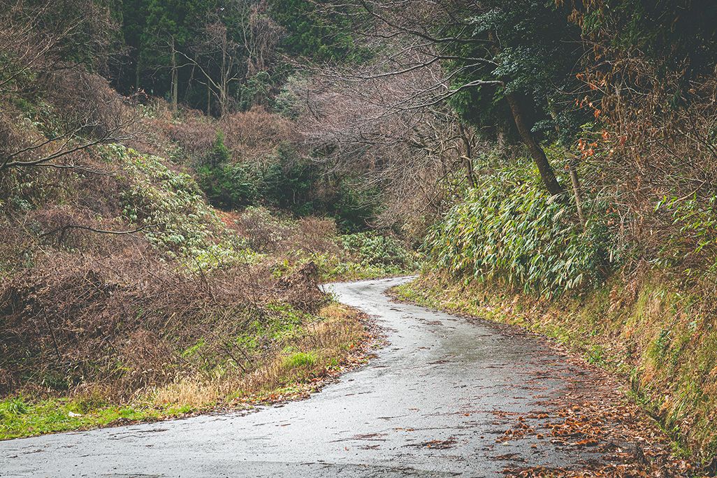 能登の山道