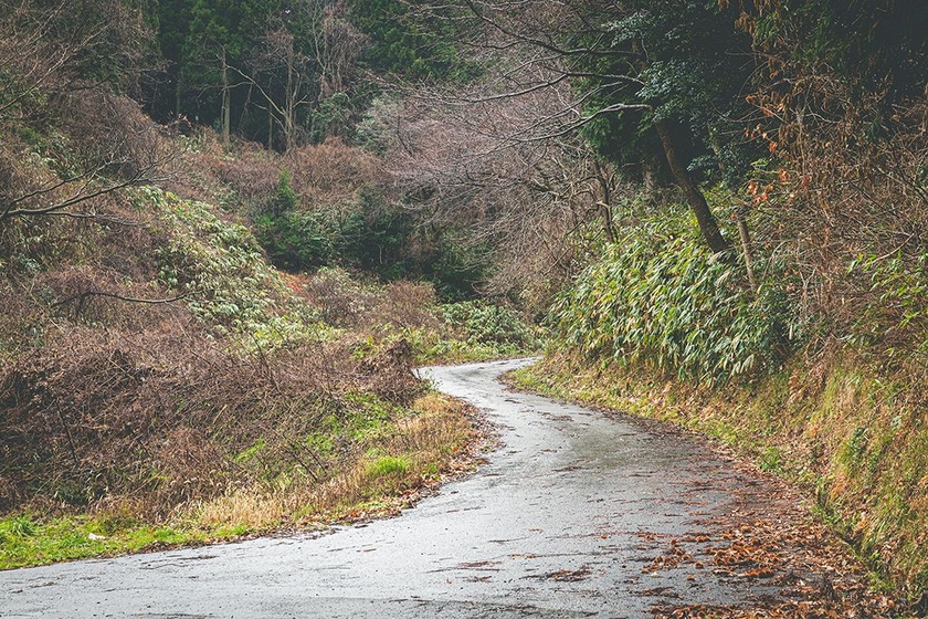 能登の山道