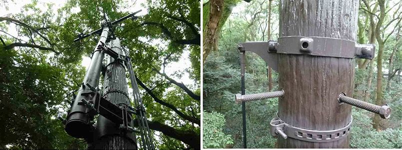 ウッド調の擬木柱の基地局