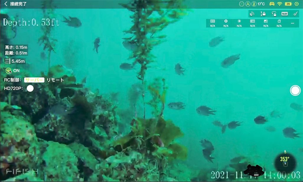水中ドローンからの映像