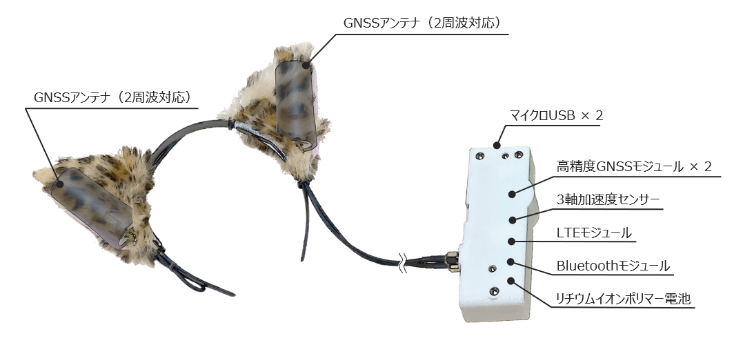 KDDIの高精度GNSS測位を活用した自動音声ガイドの衛星測位用のアンテナ2つを取り付けたカチューシャ型の高精度GNSS測位デバイス