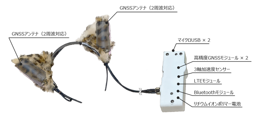 KDDIの高精度GNSS測位を活用した自動音声ガイドの衛星測位用のアンテナ2つを取り付けたカチューシャ型の高精度GNSS測位デバイス