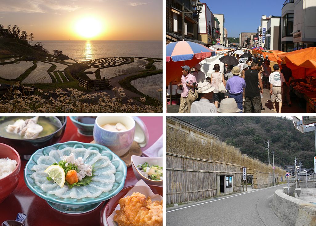 白米千枚田、輪島朝市、天然フグ、輪島市大沢町