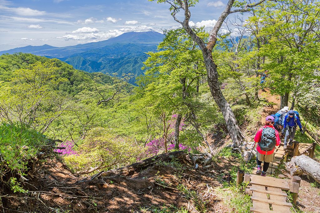 登山道を登る