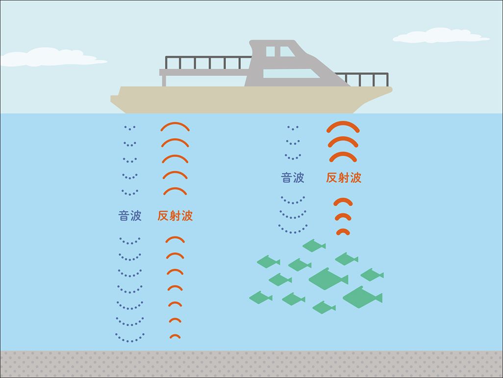 ソナー・魚群探知機
