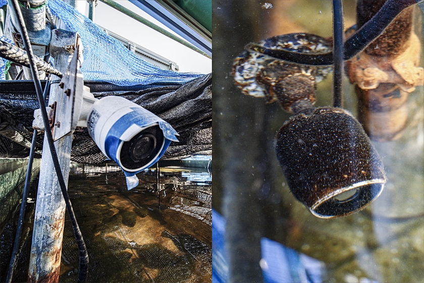 水上と水中に設置されたカメラ